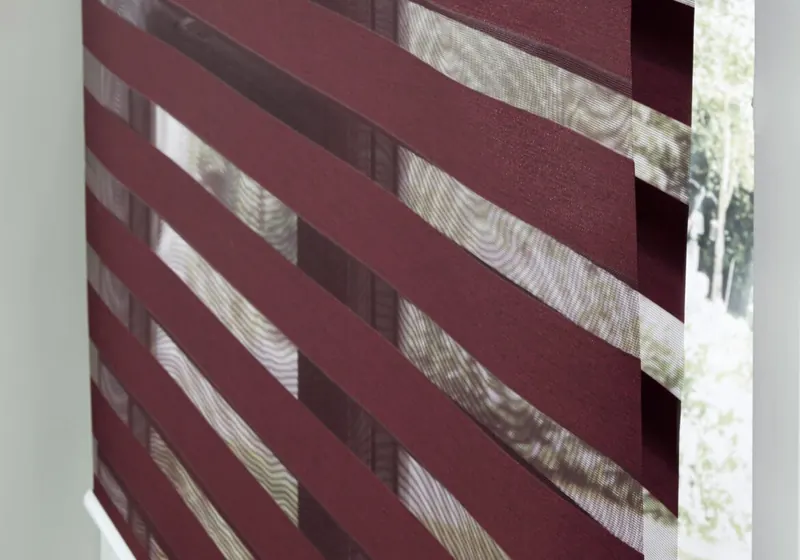 Day & Night Blinds example 3