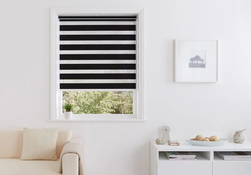 Day & Night Blinds example 4