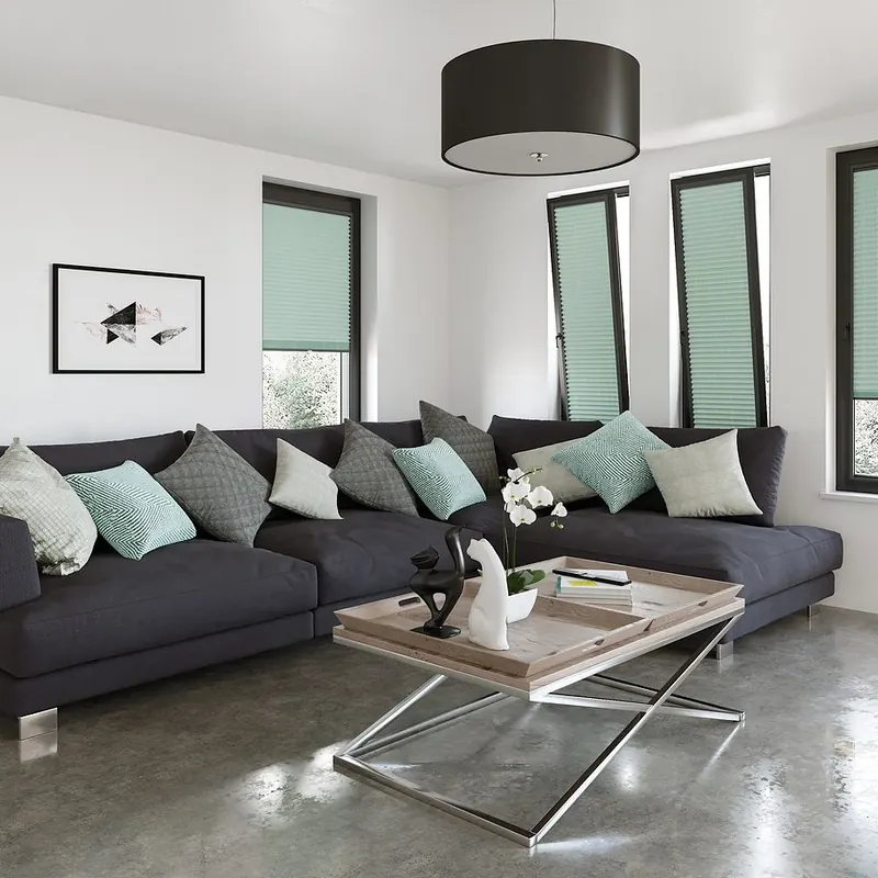 Pleated Blinds