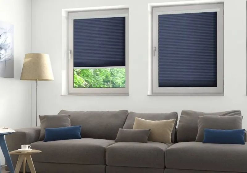 Pleated Blinds example 2